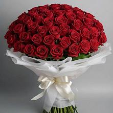 Букет 101 Красная роза Блэк Мэджик в Кадоме