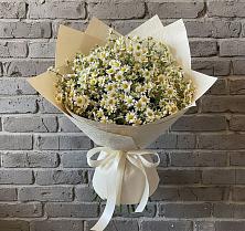 Букет цветов из:  Ромашки в Кадоме