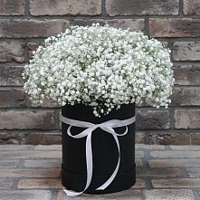 Цветочная композиция из Гипсофила в шляпной коробке в Кадоме