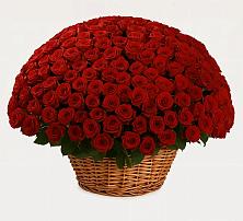 Премиум букет из: Розы #REPLACE_PRED# Кадоме