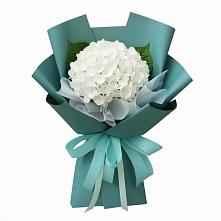 Букет цветов из:  Гортензия в Кадоме